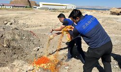 Edremit’te Sıkı Denetim: Sağlıksız Ürünlere Geçit Yok