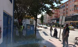 Erciş Belediyesi’nden Yol ve Yeşil Alan Seferberliği