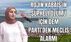 DEM Parti’den Rojin Kabaiş’in Ölümü İçin Meclis Araştırması Talebi