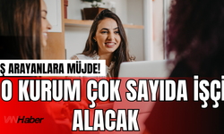 Orman Genel Müdürlüğü 262 Daimi İşçi Alıyor! İşte Detaylar...