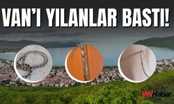 Van’ı Yılanlar Bastı!