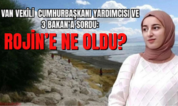 Gülderen Varlı, Cevdet Yılmaz, Ali Yerlikaya, Yılmaz Tunç ve Mahinur Özdemir Göktaş’a sordu: Rojin’e ne oldu?