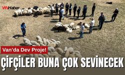 Van’da Hayvancılıkta Hedef Büyüyor: Vali’den Çiftçiye Ziyaret