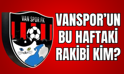 Vanspor’un Hedefi Galibiyet: Bu Hafta Rakip Özbelsan Sivasspor