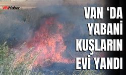 Van ‘da Yabani Kuşların Evi Yandı