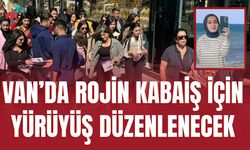 Van’da Rojin Kabaiş İçin Yürüyüş Düzenlenecek