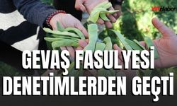 Gevaş Fasulyesi Denetimlerden Geçti