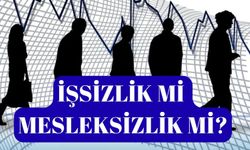 İşsizlik Mi Mesleksizlik Mi? Van’ın Ekonomik Çıkışmazı