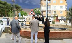 Muradiye Merkez Gece Gündüz Parlayacak: Işıklandırma Çalışmaları Başladı