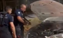 Otomobil Seyir Halindeyken Alev Aldı