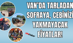Gevaş Yolunda Taze ve Hesaplı Sebzeler Vatandaşın Sofrasına Geliyor