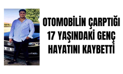 Ağrı Patnos'ta otomobilin çarptığı 17 yaşındaki genç hayatını kaybetti