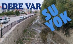 Van Su Krizi ile Karşı Karşıya Kalacak!