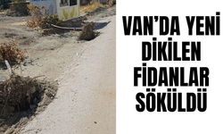 Van’da Yeni Dikilen Fidanlar Kimliği Belirsiz Kişiler Tarafından Söküldü