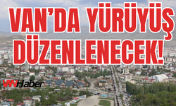 Van’da Rojin Kabaiş İçin Yürüyüş Düzenlenecek!