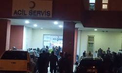 Feci Olay: Eşeğin Yularına Takılan Çocuk Hayatını Kaybetti