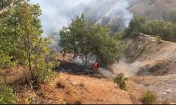 Bingöl’deki orman yangını kontrol altına alındı
