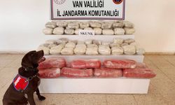 Van’da 61,9 Kilo Skunk Ele Geçirildi