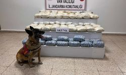 Başkale’de 47 Kilo Skunk Ele Geçirildi