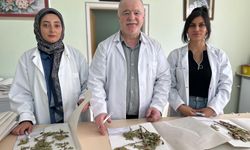 Van’da Bilim Dünyasının Sessiz Hazinesi: 90 Bin Bitki Örneğiyle VANF Herbaryumu