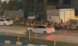 İpekyolu Caddesinde Alışılmadık Manzara