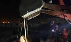 Siirt’te Atık Su Kanalına Düşen İnek, Kepçe ve Halatla Kurtarıldı