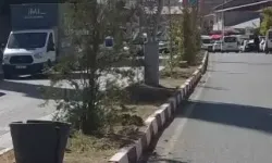 Van'ın Erciş İlçesine Yeşil Dokunuş: Zeylan Caddesinde Fidan Dikildi!