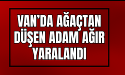 Van Gevaş’ta Ceviz Ağacından Düşen Adam Ağır Yaralandı