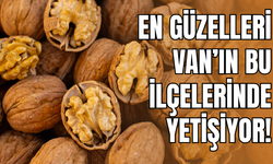 Van’da en fazla, Gevaş, Bahçesaray ve Çatak'ta yetişiyor! 2025 yılı ceviz fiyatları belli oldu!