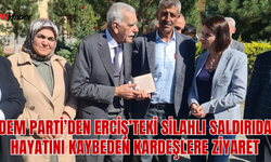 DEM Parti’den Erciş’te Silahlı Saldırıda Hayatını Kaybeden Kardeşlere Aile Ziyareti!
