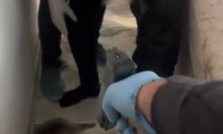 Bahçesaray’da 11 Yıldır Aranan Hükümlü Gizli Bölmede Yakalandı