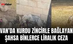 Van’da Kurdu Zincirle Bağlayan Şahsa 81 Bin TL Ceza