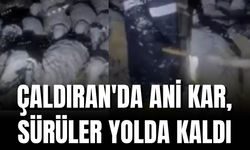 Van Çaldıran'da Sürü Sahipleri Zor Anlar Yaşadı