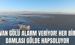 Van Gölü Alarm Veriyor! Her Bir Damlası Gölde Hapsoluyor
