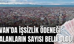 Van’da 9 Bin Kişi İşsizlik Ödeneğine Başvurdu, Sadece 3 Bini Alabildi!