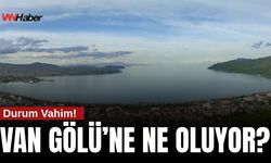 Van Gölü’nde Su Seviyesi 2 Metre Düştü: Kıyı Şeridi Geri Çekiliyor