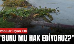 Akköprü-Beşyol Dere Kenarı Ağaçları Neden Söküldü?