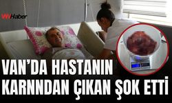 Van’da 4 Kiloluk Dev Kitle 10 Kişilik Ekiple Alındı