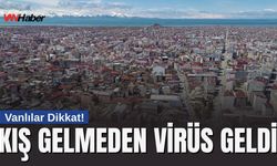 Van’da Gribal ve Koronavirüse Benzer Vakalar Artışta