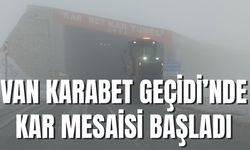 Van-Bahçesaray Kara Yolunda Karla Mücadele Başladı