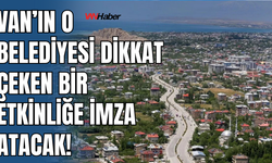 Çaldıran Belediyesi'nden Anlamlı Çevre Hareketi: Kadınlar  Fidan Dikecek!