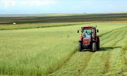 Tarımsal Girdi Fiyat Endeksi Ağustos'ta Yıllık %34,09 Arttı