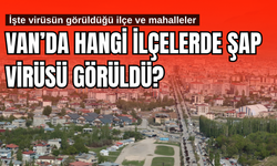 Van’ın İpekyolu, Gevaş ve Çatak ilçelerinde şap krizi! Milletvekili Mahmut Dindar Meclis’e taşıdı