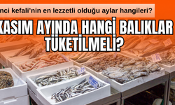 Kasım ayının en lezzetli balıkları belli oldu! İnci Kefali hangi aylarda tüketilmeli?