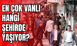 Vanlılar en çok nerede, hangi ilde yaşıyor?