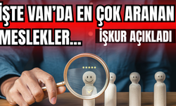 İŞKUR açıkladı: İşte Van ve ilçelerinde en çok aranan meslekler!