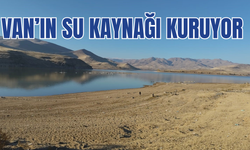 Erciş'teki barajları kuraklık vurdu: Su seviyesi kritik seviyelere düştü
