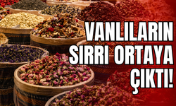 Van’da Kışın Doğal Panzehiri: Aktarlar Dolup Taşıyor!