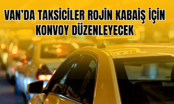 Van’da Taksiciler Rojin Kabaiş İçin Konvoy Düzenleyecek