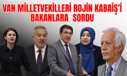 Van Milletvekilleri Rojin'i TBMM'ye Sordu: Rojin Dosyası Yeniden Açılmalı!